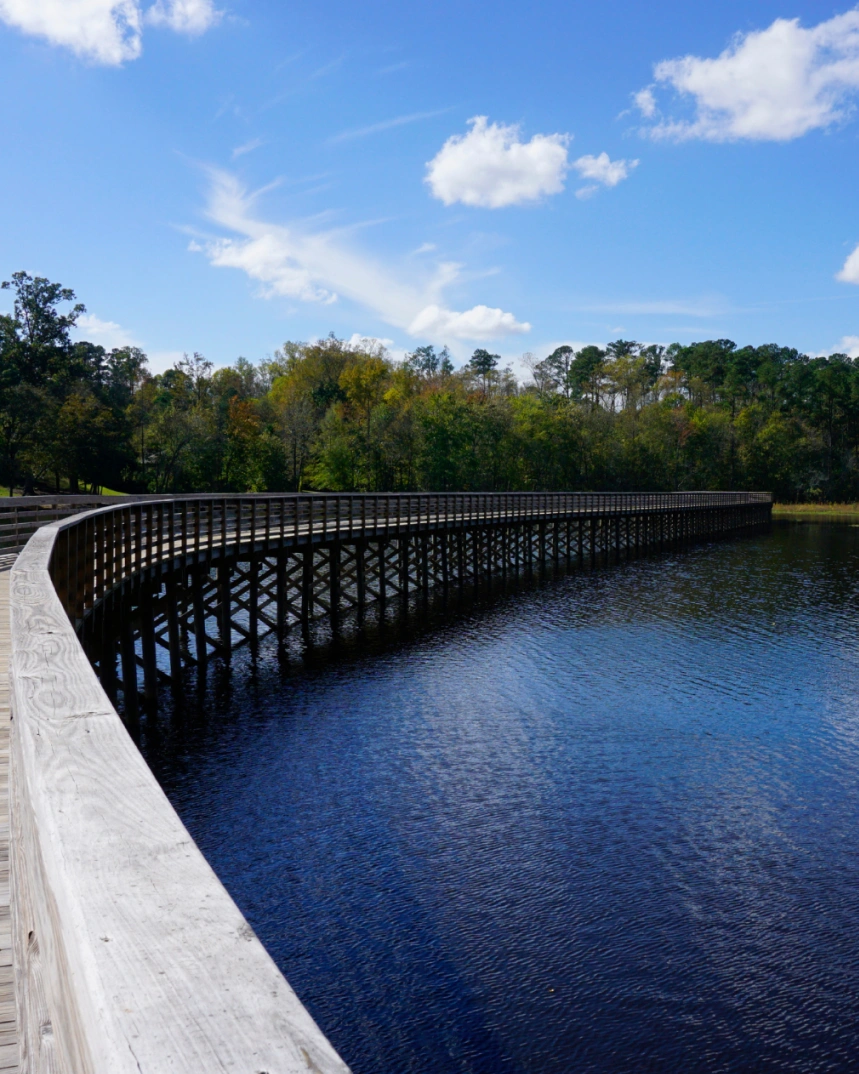 Wooden boardwalk curving over a calm lake surrounded by trees under a blue sky
