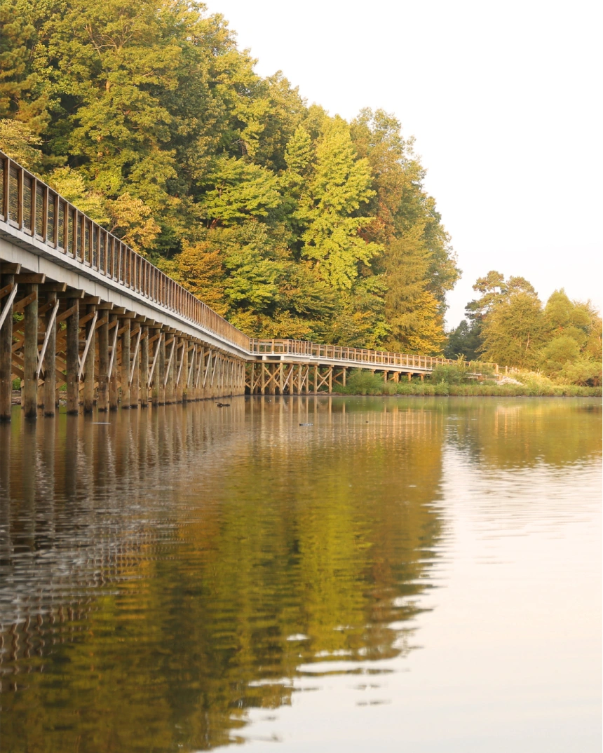 Wooden boardwalk extending over calm water beside a forested shoreline